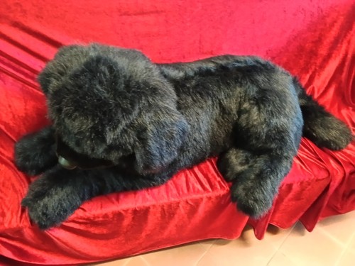 Peuche gigante cane terranova - peuche,