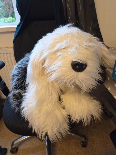 Raro peluche cane dulux - peluche,